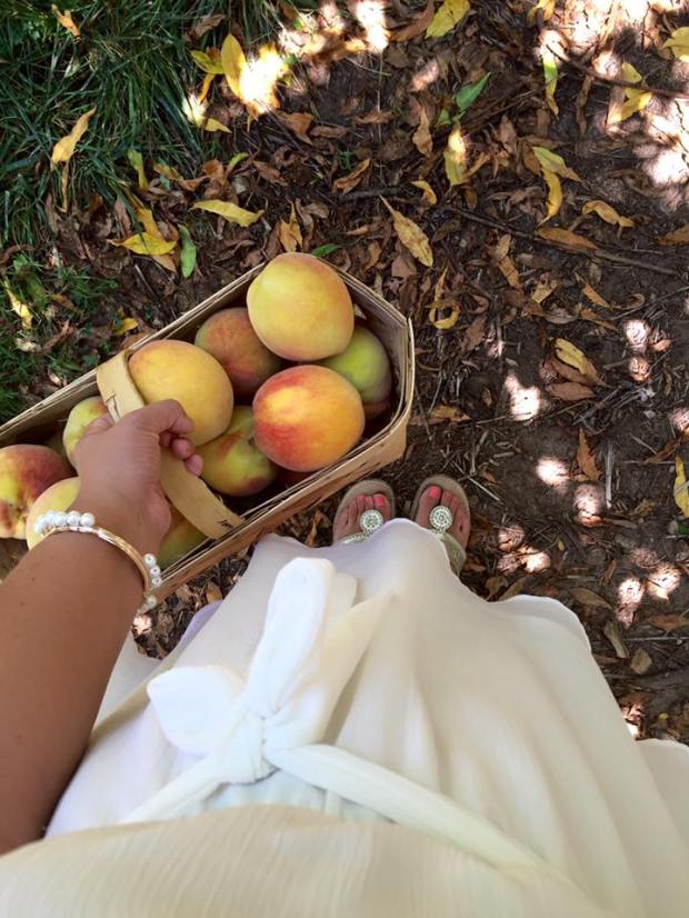 11698585_10207271789858680_7349919657215220144_n