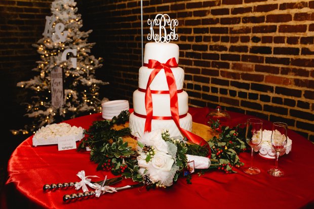 View More: http://ericaserranophotography.pass.us/grayson-and-katie-wedding